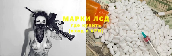 гашик Алексин