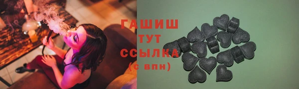 гашик Алексин