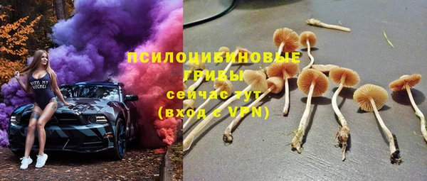 гашик Алексин