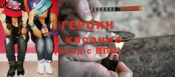 гашик Алексин