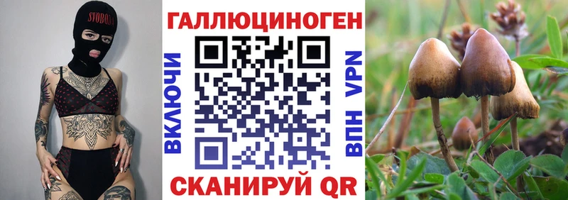где купить   Миасс  Псилоцибиновые грибы ЛСД 